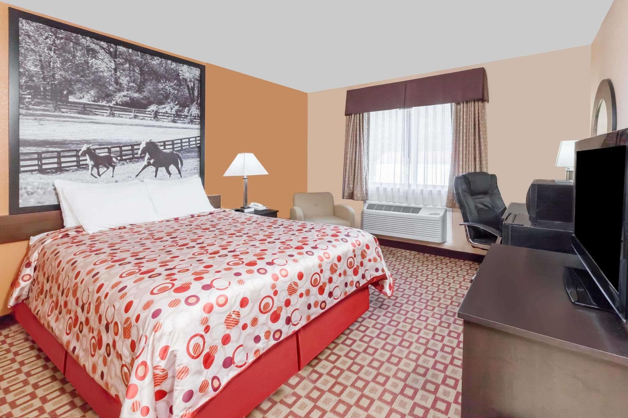 Hotel Super 8 South By Wyndham Bowling Green Esterno foto